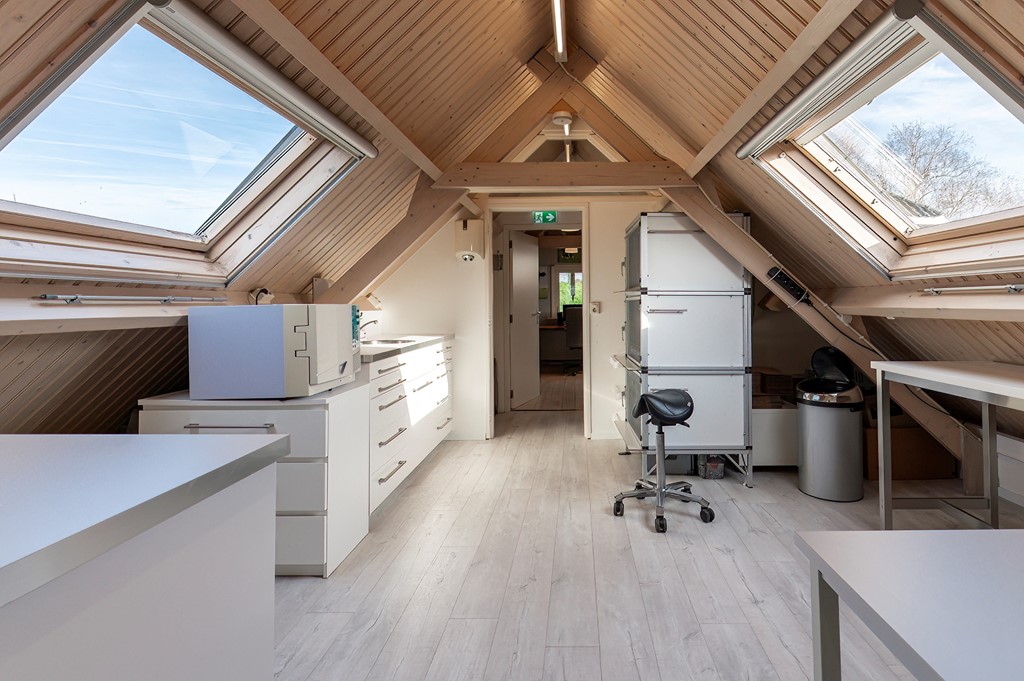 Reygerboslaan 32 Giessen (64).jpg